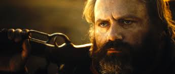 Welcome to Kittytown