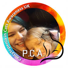 Can two additional drywall anchors support a 12# cat?