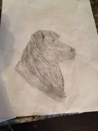 Include (or exclude) results marked as nsfw. 8 Max S Drawings 7 Years Old Ideas 7 Year Olds Drawings Olds