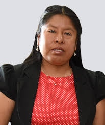 Maricel Gutiérrez Castro (Ind.)