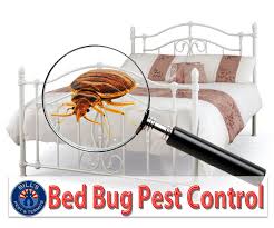 Ehrlich pest control is your local termite control expert, and provides customized termite treatment plans to protect your home. Termite Pest Termite Pest Control Procedure