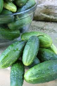 Jun 08, 2017 · today i'm proudly adding this recipe for chinese pickled cucumbers to our culinary genealogy. Preserving Cucumbers My Humble Kitchen