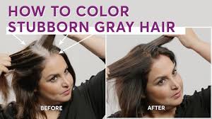 Any hair turning grey way earlier is termed as ' prematurely grey hair ' with some background pathology in action or plainly genetics. How To Color Stubborn Gray Hair Youtube