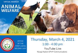See full list on en.wikipedia.org Navajo Nation President Jonathan Nez On Twitter The Office Of The First Lady And Second Lady Will Host An Animal Welfare Virtual Webinar On Thursday At 1 P M With Presentations Focused On