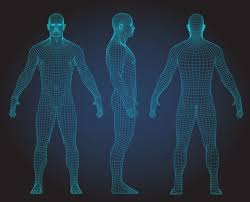 In my m21 below fingerprint sensor right side there is little hump in body. Set Of 3d Wire Frame Human Body Vector Illustration Front Back Side View Tasmeemme Com