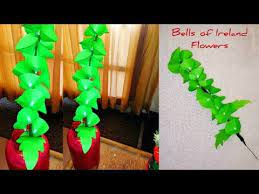 Diy Bells Of Ireland Flowers How To Make Bells Of Ireland Paper Flower Youtube Paper Flowers Diy Flowers Flower Crafts