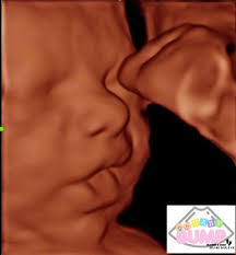 Baby Bump Imaging & More 3D/4D Studio, 800 E Broadway St, Andrews, TX  79714, US