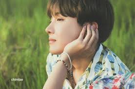 Bts summer package in korea; Bts Summer Package 2017 Army S Amino