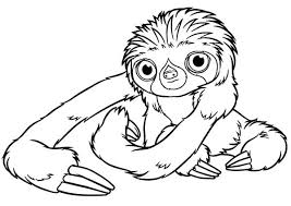 Printable simple sloth bear coloring page. Cute Sloth Colouring Pages Novocom Top