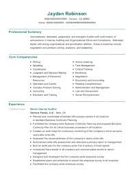 This free internal auditor job resume sample will help you to learn how to create, write and format a simple cv template for being able to build yours. 20 Best Internal Auditor Resumes Resumehelp