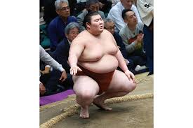 「あれ？」 大相撲中継で思わず二度見…カメラがとらえた“珍事”に漏れる笑い「足りてない」（THE ANSWER）
