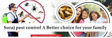 So you and your family can live a healthy life. Agrochemicals Pesticides B2b Portal Of Manufacturer And Supplier Exporters Importers Dealers Makers Distributors Business Leads Inquiry Enquirygate Com