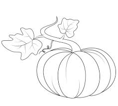 Disegni Da Colorare Zucca Disegni Da Colorare Disegni Pagine Da Colorare