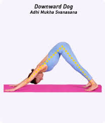 How To Do Downward Facing Dog In Yoga Yoga Poses For Beginners Yoga For Golfers Yoga Poses Advanced