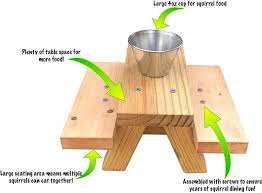 The detail of the personalization layout with the little. Stained Squirrel Feeder Picnic Table Table Top With Cup Large Squirrelsupply Com