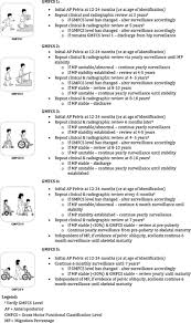The Role Of Hip Surveillance In Cerebral Palsy Physiopedia