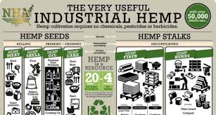 Getting Started In The Industrial Hemp Industry One