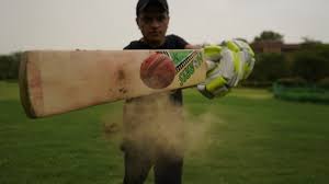 Mb malik gold platinum edition cricket bat. The Bamboo Cricket Bat All You Need To Know