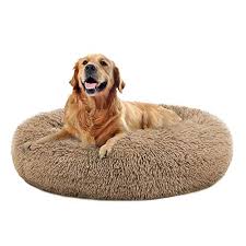 Memory foam may alleviate arthritis or orthopedic problems by distributing her weight to relieve pressure. Top 10 Kirkland Dog Beds Of 2021 Best Reviews Guide