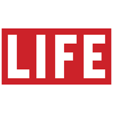 Download Half Life Vector Logo Download Free Svg Icon Worldvectorlogo