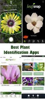 The real scoop on plant apps Ideaz How To Identify A Flower From A Photo Pokedex For Flowers
