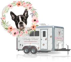 Our experienced cat groomer is here to help your cat or kitten look their best! Muddy Mabel Mobile Grooming Salon Professional Pet Styling We Come To You