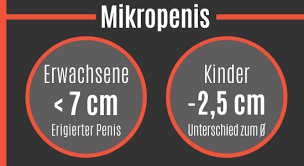 Das passiert mit deinem penis wenn du älter wirst. Wann Hort Der Penis Auf Zu Wachsen Neue Studien 2021 Potenz Tipps