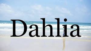 Jun 11, 2021 · save word. How To Pronounce Dahlia Pronunciation Of Dahlia Youtube