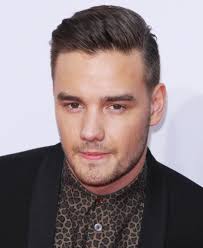 The most profound and intellectual twitterer of 2014. Liam Payne Picture 55 2014 American Music Awards Arrivals