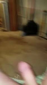 @MyWifeAndYous video Tweet