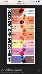 The Meaning Of Roses Rose Color Meanings Flower Meanings Planting Flowers