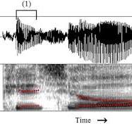 Color online) Waveform and spectrogram for the word /p h i2 ...