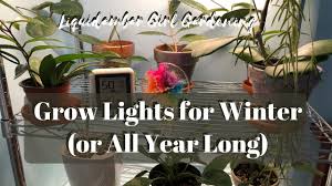 Check spelling or type a new query. Grow Lights For Winter Or All Year Long Youtube