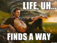 We did not find results for: Life Finds A Way Image Gallery List View Know Your Meme