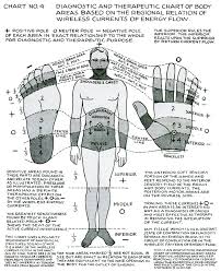 polarity therapy volume 1 book 2 chart 04