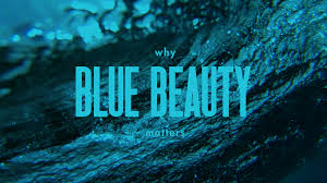 Greenhouses are efficient ways to grow plants and flowers even when the weather is cold, as the enclosures keep plants warm and moist. What Is Blue Beauty Best Ocean Friendly Beauty Brands Of 2021