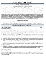 Top Government Resume Templates Samples