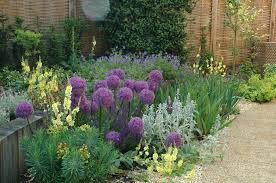 Landscape Design Cheltenham Landscape Design Gloucestershire Mediterranean Garden Plants Garden Landscaping