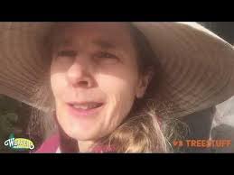 Community Expert Videos