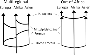 Unanswered questions about the newest human species. Evolution Des Menschen Homo Sapiens
