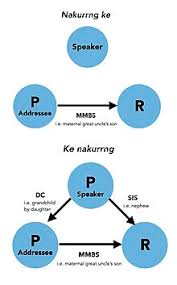 Kinship Terminology Wikipedia