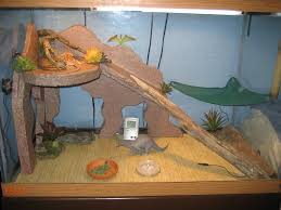 Homemade Bearded Dragon Habitat Google Search Beardeddragonhabitat Beardeddragonideas Bearded Dragon Bearded Dragon Diy Bearded Dragon Terrarium