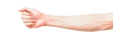 ران‌ها را با فاصله از زمین نگه دارید و یک دست را به عقب بازگردانید و دوباره روی ساعد بیایید طوری که آرنج زیر شانه قرار بگیرد. Ø¨Ø±Ø±Ø³ÛŒ Ø¹Ù„Øª Ø¯Ø±Ø¯ Ø³Ø§Ø¹Ø¯ Ø¯Ø³Øª Ø¯Ø±Ù…Ø§Ù† Ø®Ø§Ù†Ú¯ÛŒ Ùˆ Ø­Ø±Ú©Ø§Øª ÙˆØ±Ø²Ø´ÛŒ Ù…Ù†Ø§Ø³Ø¨ Ø³ØªØ§Ø±Ù‡