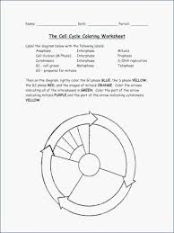 The cell cycle coloring worksheet label the diagram below with the following labels: Mitosis Paintings Search Result At Paintingvalley Com