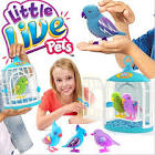 Pictures of 2 parrots singing and talking elsa <?=substr(md5('https://encrypted-tbn0.gstatic.com/images?q=tbn:ANd9GcQsGwENRormnWg-oCmuxkAaZ4s5fKixteLz0VzU8fP9TrxJEyzVAEo-BXNgXA'), 0, 7); ?>