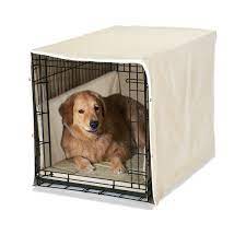 Should You Put Blankets In A Dog Crate Shop Www Spora Ws