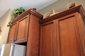 Fabuwood Cabinetry Wellington Door Style Cinnamon Glaze Raised Center Panels Kitchen Cabinet Molding Kitchen Cabinet Molding Kitchen Cabinet Crown Molding