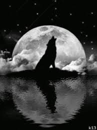 The howl at the moon is often used to show the power and mystery of the wolves. Volk Animaciya Na Telefon 1154366 Wolf Photos Wolf Wallpaper Wolf Howling