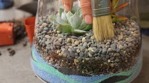 These plants have evolved to make the most of occasional rainfalls between long hot and. How To Make A Sand Terrarium Sunset Magazine