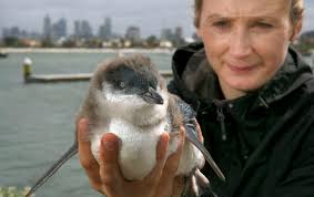 School of Biological Sciences